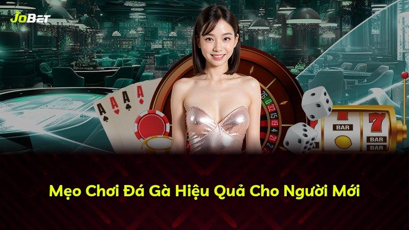 Mẹo Chơi Đá Gà Hiệu Quả Cho Người Mới