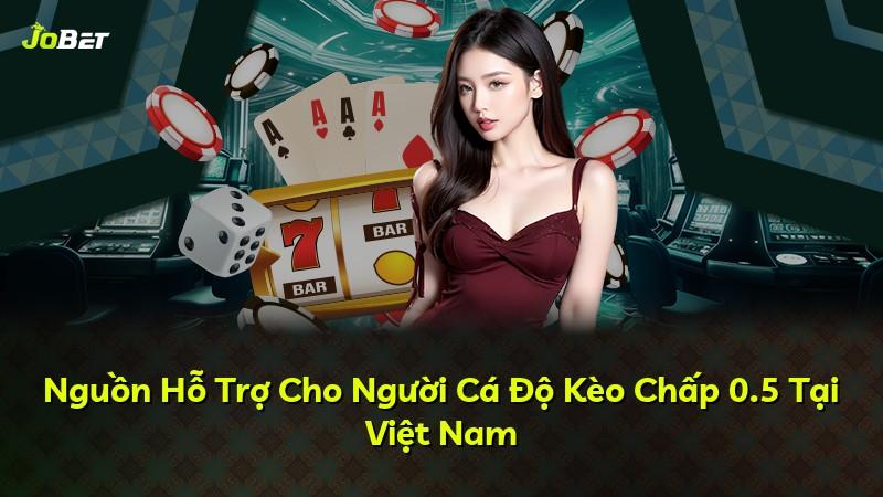 Nguồn Hỗ Trợ Cho Người Cá Độ Kèo Chấp 0.5 Tại Việt Nam