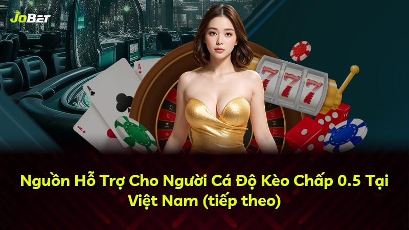 Nguồn Hỗ Trợ Cho Người Cá Độ Kèo Chấp 0.5 Tại Việt Nam (tiếp theo)