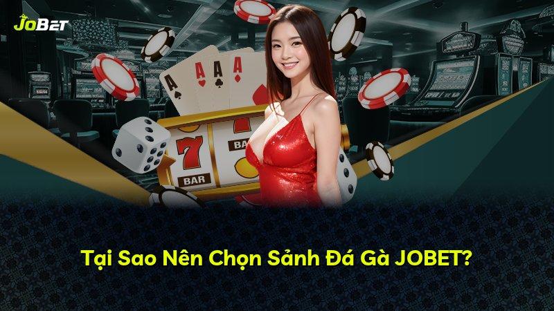 Tại Sao Nên Chọn Sảnh Đá Gà JOBET?