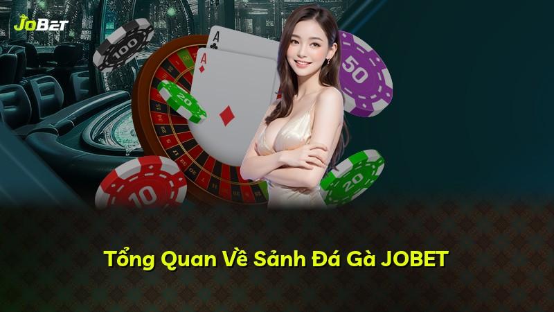 Tổng Quan Về Sảnh Đá Gà JOBET